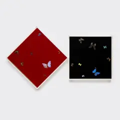 Kill Monster by Damien Hirst, 2008, butterflies and household gloss on canvas, diptych, sold Sep 2023