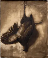 Titus Kaphar, Fowl, 2008, tar on paper