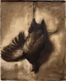 Titus Kaphar, Fowl