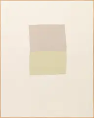 Ethan Cook, Untitled, 2013, hand woven cotton canvas and canvas, in artist's frame