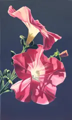 Ed Mell, Two Petunias, 1990, oil on canvas