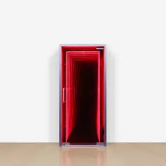 Iván Navarro, Exit (Baum), 2007, neon, glass, aluminum door and one-way mirror