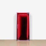 Iván Navarro, Exit (Baum)