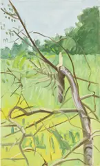 Lois Dodd, View through Broken Tree, 1986, oil on panel