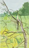 Lois Dodd, View through Broken Tree