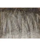 Pat Steir, From Dark to Light (from the Waterfall series)