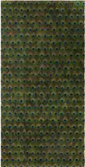 Carol Bove, Untitled, 2013, peacock feathers on linen and UV filtering acrylic