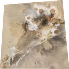 Lucy Dodd, Untitled, 2015, mixed media on canvas sewn to canvas