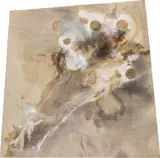 Lucy Dodd, Untitled, 2015, mixed media on canvas sewn to canvas