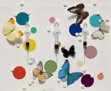 Damien Hirst, Happiness, 2008, syringes, needles, butterflies, paracetamol pills, synthetic resin, and household gloss on canvas