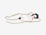 Tom Wesselmann, Hedy (Sandpaper) (W.P.I. E10), 1985/1990, Laser-cut steel drawing multiple, painted with alkyd oil in colors