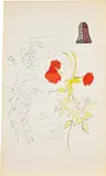 Andy Warhol, Female Head with Partial Figure, c. 1957, Black ink drawing with hand-coloring and collage, on Strathmore paper