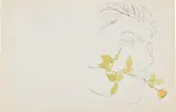 Andy Warhol, A Gold Book: two proofs (see F. & S. IV.108 & 121), 1957, Double sided offset lithograph with hand-coloring, on one sheet of wove paper, the full sheet, unfolded and never bound