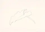 Leaf VIII, from Twelve Leaves (G. 810, A. 173) by Ellsworth Kelly, 1978, Lithograph, on Arches paper, with full margins, sold Feb 2023