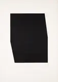 Ellsworth Kelly, Concorde I, from The Concorde Series (G. 995, A. 196)