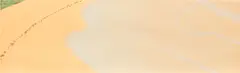 Beach (S. 254) by Alex Katz, 1992, Aquatint in colors, on Somerset paper, the full sheet, sold Feb 2023