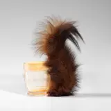 Meret Oppenheim, Eichhörnchen (Squirrel) (C. S126)