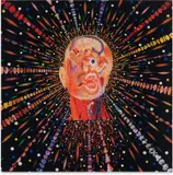 Fred Tomaselli, Cyclopticon (P. 67), 2003, Surface-mounted pigment print in colors, on Plexiglas