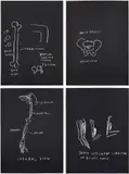 Jean-Michel Basquiat, Femur, Vertical Median; Male Pelvis; Lateral View; and Three Different Conditions of Biceps Muscle, from Anatomy, 1982, Four screenprints in black, on Arches paper, the full sheets