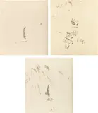Jean-Michel Basquiat, Untitled (Plate Ten); Untitled (Teeth); and Untitled (Plate 10), from Untitled: from Leonardo, 1983, Three screenprints in colors, on Okawara paper, the full sheets
