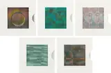 Carlos Cruz-Diez, Transchromies