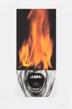 Robert Longo, Arena Brains, 1986, Lithograph in colors on Arches paper