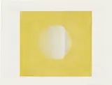 Ólafur Elíasson, Nine yellow to black negative movie
