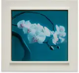 Orchidee I (Orchid I) (B. 102) by Gerhard Richter, 1998, Offset print in colors, on lightweight cardboard, mounted between plexiglass plates (as issued), the full sheet,, sold Apr 2023