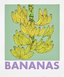 Jonas Wood, Bananas, 2021, Screenprint in colors, on Rising Museum Board, with full margins