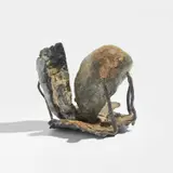 Kiki Smith, Untitled (Mouth) (W. 42)