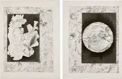Shazia Sikander, Fantastical Forms #1; and #2, 2007, Two graphite drawings, on wove paper