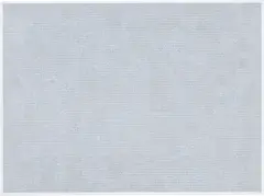 Do Ho Suh, Who Am We? (blue), 2000, Iris print in colors, on Somerset paper, with full margins