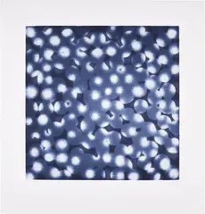Ross Bleckner, Chaperone, 2002, Aquatint in colors, on Somerset paper, with full margins