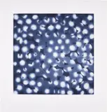 Ross Bleckner, Chaperone, 2002, Aquatint in colors, on Somerset paper, with full margins