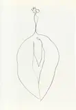 Seaweed (Algue), from Suite of Plant Lithographs (A. 53) by Ellsworth Kelly, 1965-66, Lithograph, on Rives BFK paper, with full margins, offered Jun 2023