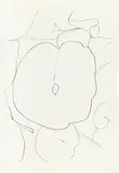 Melon Leaf (Feuille de Melon), from Suite of Plant Lithographs (A. 44) by Ellsworth Kelly, 1965-66, Lithograph, on Rives BFK paper, the full sheet, offered Jun 2023