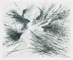Fracture by Julie Mehretu, 2007, Etching and aquatint in colors, on Somerset paper, with full margins, sold Jun 2023