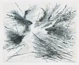 Julie Mehretu, Fracture