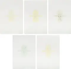 Matthew Barney, Cremaster: Field Suite, 2002, The complete set of five etchings in colors with embossing, on Hahnemühle paper, all contained in the original self-lubricating plastic case