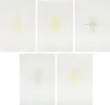 Matthew Barney, Cremaster: Field Suite, 2002, The complete set of five etchings in colors with embossing, on Hahnemühle paper, all contained in the original self-lubricating plastic case