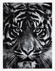 Untitled (Tiger Head 2) by Robert Longo, 2014, Archival pigment print, on wove paper, with full margins, sold Oct 2023