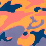 Camouflage: one plate (F. & S. 410) by Andy Warhol, 1987, Screenprint in colors, on Lenox Museum Board, the full sheet, sold Oct 2023