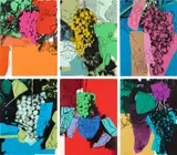 Grapes (F. & S. 190-195) by Andy Warhol, 1979, The complete set of six screenprints in colors, on Strathmore Bristol paper, the full sheets, sold Oct 2023