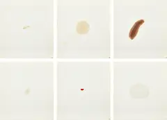 Ed Ruscha, Stains (E. B9), 1969, The complete artist's book of 75 stains, on Eagle Coupon Bond paper, with one additional stain of the artist's blood on white silk moiré fabric boxed in the portfolio, with title, colophon and index pages, all loose (as issued), contained in the original clamshell portfolio covered with black textured paper with embossed title in silver ink on the cover and spine