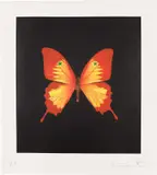 Red, Yellow Swallowtail and green spots by Damien Hirst, 2008, Monoprint in colors, on Arches paper, with full margins, sold Oct 2023