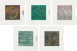 Carlos Cruz-Diez, Transchromies