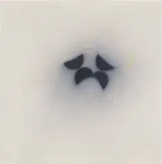 Wes Mills, Untitled, 1995, Unique graphite drawing, on wove paper