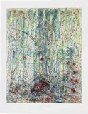 Pat Steir, Waterfall, 1988, Etching and aquatint in colors, on wove paper, with full margins
