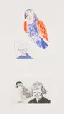David Hockney, My Mother with Parrot (S.A.C. 161, M.C.A.T. 148), 1973, Etching and aquatint in colors, on Arches paper, with full margins