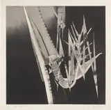 James Rosenquist, The Prickly Dark (G. 212), 1987, Monumental aquatint, on T.H. Saunders paper folded (as issued), with full margins